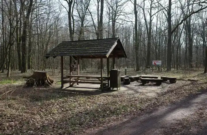 Hainichhütte im Pötnitzer Busch bei Dessau-Roßlau mit Feuerstelle im Wald
